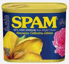 One Can 2024 Limited Edition Hawaiian Collectors Edition SPAM From Hawaii NEW!