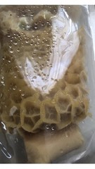 Beef Tripe/Shaki