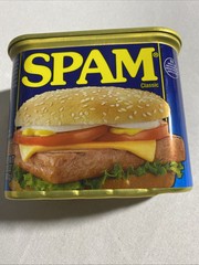SPAM Luncheon Meat 12 oz, Pack of 12 , (T570) BB 05/2027, Free Shipping
