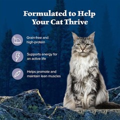 Wilderness Natural Wet Cat Food Paté High-Protein & Grain-Free Recipe Chicken