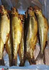 Salted SMOKE HERRING ( 1.25 Kg ) Free & fast Shipping رنجة مصرى مدخنة درجة اولى