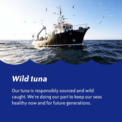 Wild Caught Chunk Light Tuna, 5 Ounce Cans, 10-Count – High Protein 100% Classic