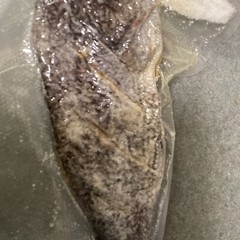 Saltfish Salted Fish Black Sea Bass Baccala Bacalao 1.05Lb Carribean Italian US
