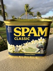 *NEW Disney Lilo & Stitch Limited Edition Set of 3 Spam Can Hula Lei Surfing