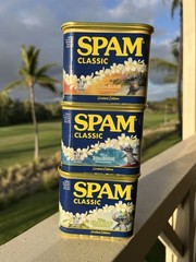 *NEW Disney Lilo & Stitch Limited Edition Set of 3 Spam Can Hula Lei Surfing