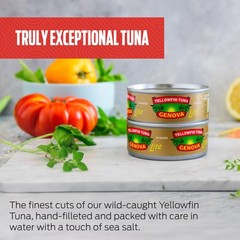 Premium Yellowfin Tuna 5oz Can Pack of 12 Wild Caught Water Packed