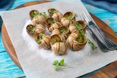 Extra Large Escargot Snails (Helix Lucorum) – 18 Count, Imported from France, 7.