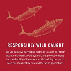 (4 pack) King Oscar Wild Caught Skinless & Mackerel in Olive Oil 4.05 oz