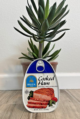 Bristol Cooked Ham 16oz Sell By 2027 Fully Cooked Ready to Eat Canned Meat