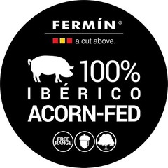 FERMIN IBERICO ACORN-FED CHORIZO TUBE CHORIZO IBERICO DE BELLOTA