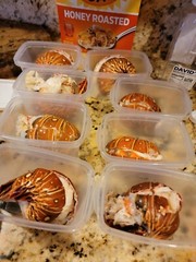 SPINY LOBSTERS FRESH