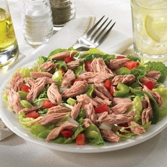 Versatile 12 Oz Chunk Light Tuna in Savory Vegetable Oil – Gluten Free Goodness