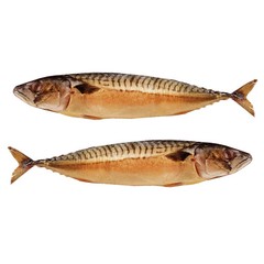 COLD Smoked Mackerel WHOLE -Wild Caught 15oz-17oz for $17 !! US SELLER !!