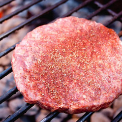 Bison Burger Patties | 12 – 1/3 lb Pre-Formed Burgers | Case of 4 | Nebraska Bis