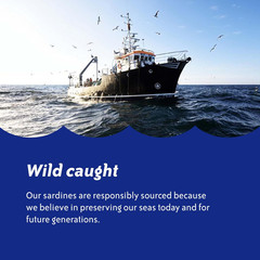Sardines in Mustard Sauce, 3.75 Oz. Can (Pack of 1), Wild Caught Canned Sardines