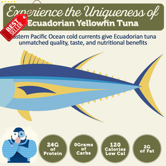 Premium Yellowfin Tuna Olive Oil 12 Pack 5oz Cans Wild Caught Protein – US