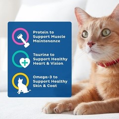 9 Lives Chicken Beef And Salmon Flavor Cat Food Bag, 50.4 Ounce, 4 Per Case