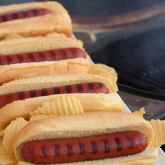 Bison Hot Dogs | Pack of 16 – 3 oz Hot Dogs | Gluten Free | Shipping Included |