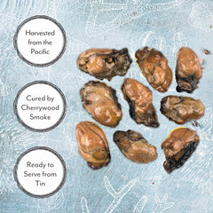 Premium Smoked Large Oysters in Oil, Wild Caught, 3 Oz Tin