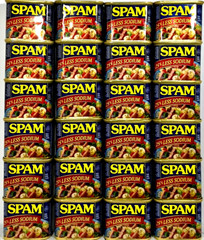 Spam 25% Less Sodium Luncheon Meat 12 oz (Pack of 24)~9/2025