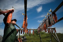 SYD’S Smoked Salmon – 3 pounds – the best salmon you will ever try!
