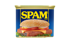 SPAM Luncheon Meat 12 oz, Pack of 12 , (T583) BB 05/2027, Free Shipping
