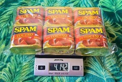 NEW – LIMITED FLAVOR – SPAM – TOCINO – Pack of 6 – Expiration Date: June 2027
