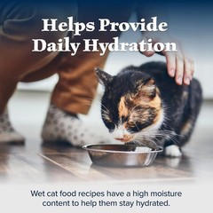 Wilderness Natural Wet Cat Food Paté High-Protein & Grain-Free Recipe Chicken