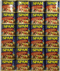Spam 25% Less Sodium Luncheon Meat 12 oz (Pack of 24)~9/2025