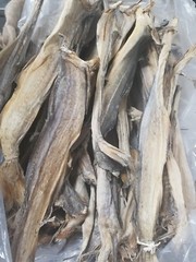 NORVEGIAN STOCKFISH BUNDLE WHOLE OR CUT 10LBS